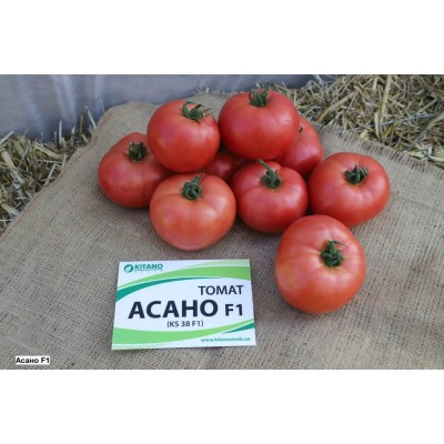 Семена томата Асано (KS 38 F1) (100 семян), Kitano, индетерминантный